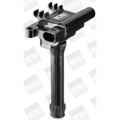 BorgWarner (BERU) Zündspule ZS501