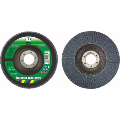 Boll Klappenscheibe 125x22-95A-P80 | 050127