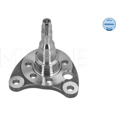 12 325 009 Achsschenkel HA li SEAT,VW 83-01 MEYLE-ORIGINAL: True to OE 1005010012