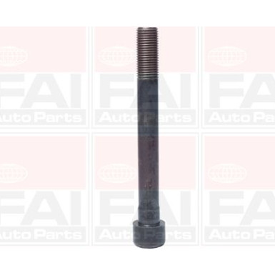 FAI AUTOPARTS Schrauben B1046 FAI AUTOPARTS Schrauben B1046
