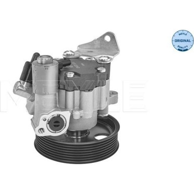 Servopumpe, Lenkung | 014 631 0034