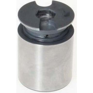 BREMBO Kolben, Bremssattel | F PI 124
