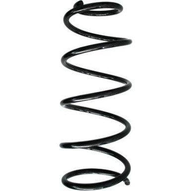 SPIDAN Fahrwerksfeder | 55246