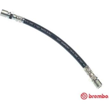 BREMBO Bremsschlauch | T 59 002