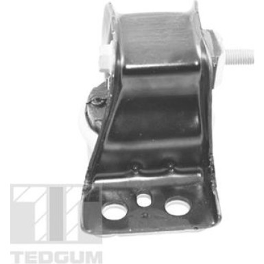 TEDGUM_TD Lagerung, Motor TED84297