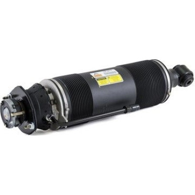 Arnott Luftfederbein HA re | MERCEDES SL AMG 02 | SK-2419