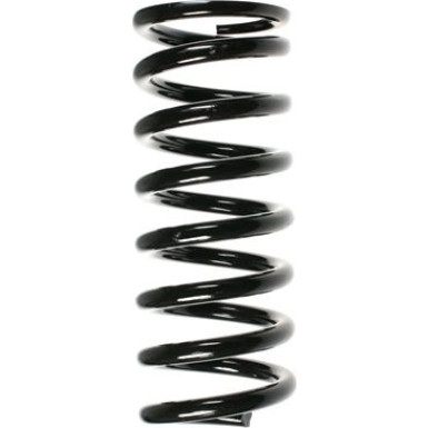 SPIDAN Fahrwerksfeder 49381