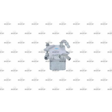 Ölkühler, Motor“L | 31269