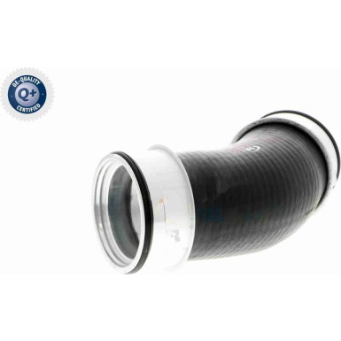 VAICO Ladeluftschlauch V10-2900