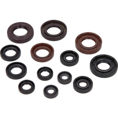 Satz Motoröldichtungssatz. Moto. Aprilia Rs 50 2006-2013 (13 El.) | 556A007SR