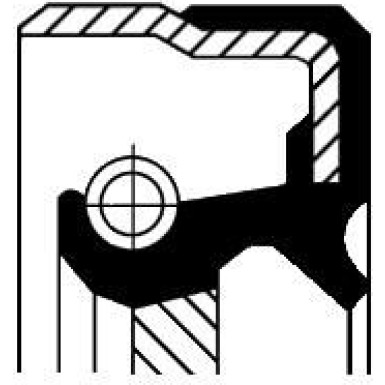 01029678B Wellendichtring, Kurbelwelle