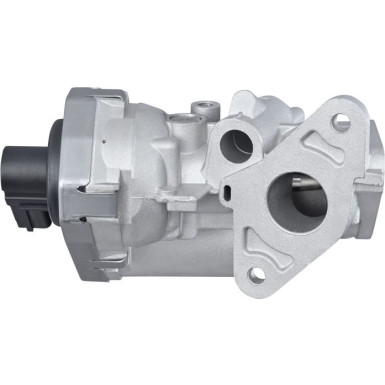 HELLA AGR-Ventil 6NU 010 171-461