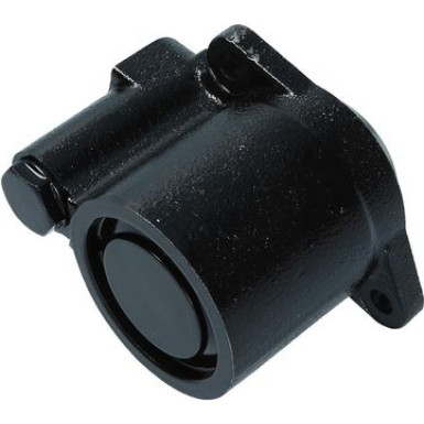 KAMOKA Hydraulikpumpe, Lenkung PP087