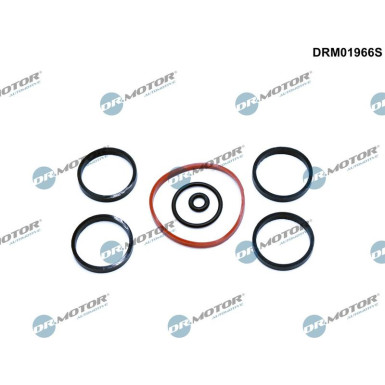 DRM01966S Dichtungssatz, Ansaugkrümmer