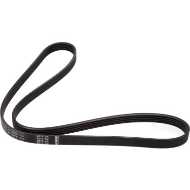 1 987 948 494 Keilrippenriemen