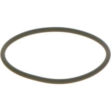 O-Ring | Diverse | F 00N 201 306
