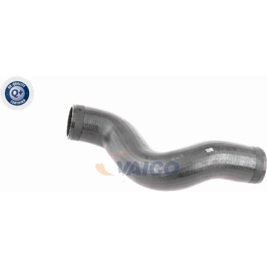 VAICO Ladeluftschlauch VAICO Ladeluftschlauch