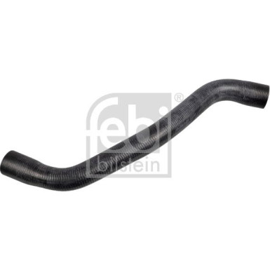 FEBI BILSTEIN Kühlerschlauch 170984