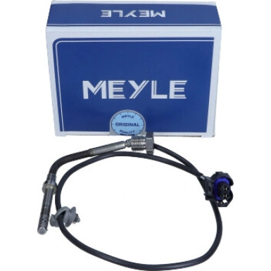 Sensor, Abgastemperatur | 6148000090