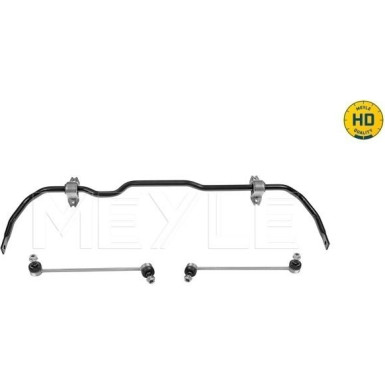 17 307 070HD Stabilisator Fahrwerk AUDI,SEAT,SKODA,VW MEYLE-HD-KIT: Better solution for you 100 653 0009/HD