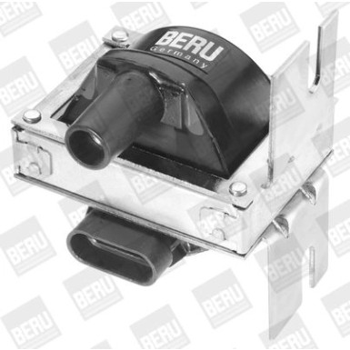 BorgWarner (BERU) Zündspule | ZS244