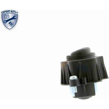 VAICO Ventil, Kurbelgehäuseentlüftung V20-0955 Expert Kits +
