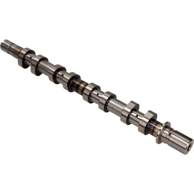 Nockenwelle | 50006316 Nockenwelle | 50006316