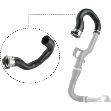 RAPRO Ladeluftschlauch R18351