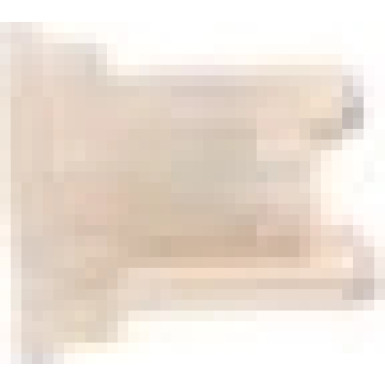 1 987 529 049 Sicherung