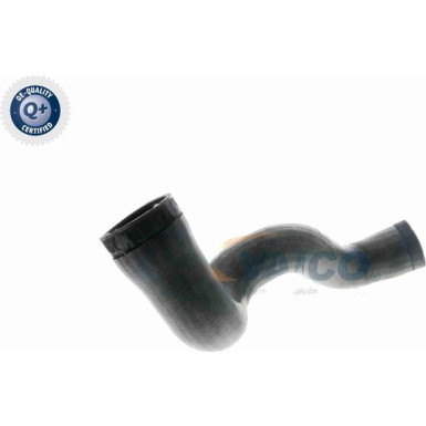 VAICO Ladeluftschlauch V10-3141