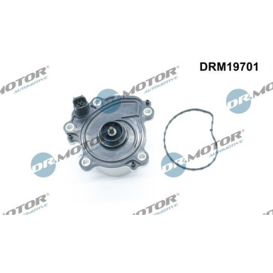 Wasserpumpe, Motorkühlung | DRM19701
