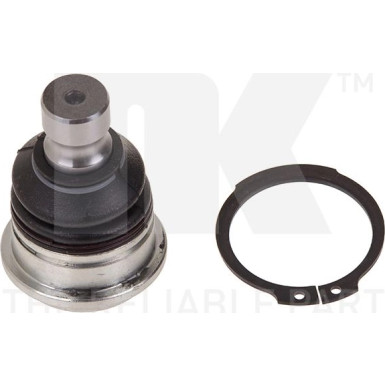 5043409 Trag-/Führungsgelenk