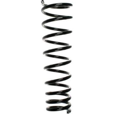 SPIDAN Fahrwerksfeder | 49373