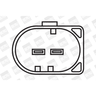 BorgWarner (BERU) Zündspule ZS501