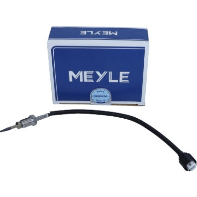 Sensor, Abgastemperatur | 3148000064