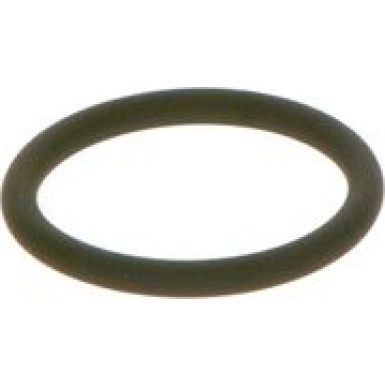 O-Ring | Diverse | F 00R J00 534