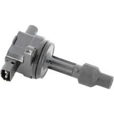 BorgWarner (BERU) Zündspule ZS429