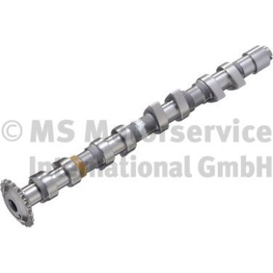 Nockenwelle | 50006308