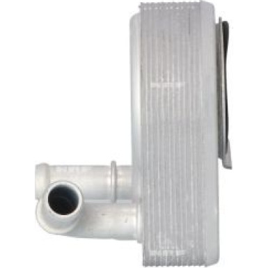Ölkühler, Motor“L | 31311 Ölkühler, Motor“L | 31311