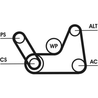 Keilrippenriemen 6Pk1019 | 6PK1019 ELAST T1 Keilrippenriemen 6Pk1019 | 6PK1019 ELAST T1