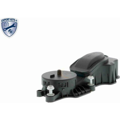 VAICO Ventil, Kurbelgehäuseentlüftung V20-0850 Expert Kits +
