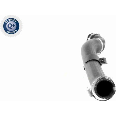 VAICO Ladeluftschlauch VAICO Ladeluftschlauch