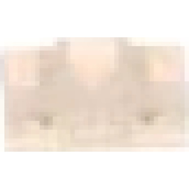 1 987 529 049 Sicherung