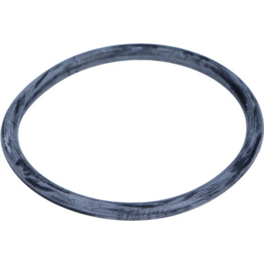 Original VAG Wasserpumpendichtung VW Golf (98-13) (53X4mm) | 06A121119