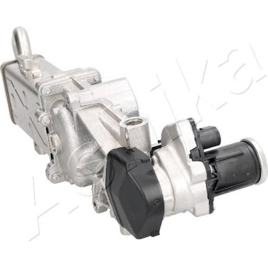 AGR-Ventil | EGR-0907