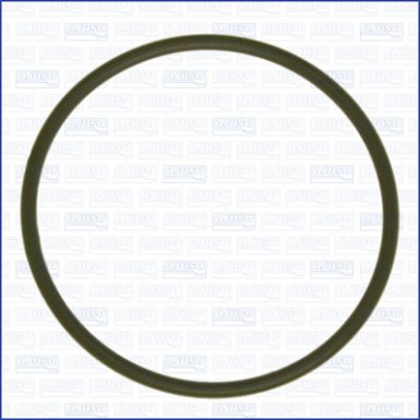 16508700 Dichtung, Ansaugkrümmergehäuse