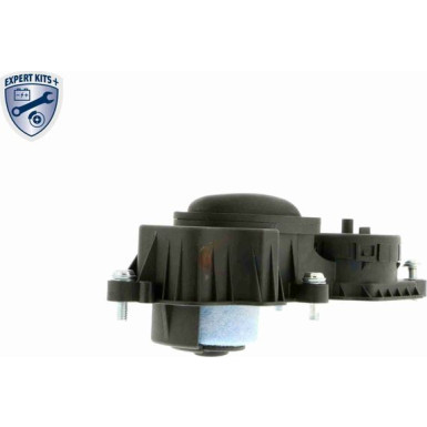 VAICO Ventil, Kurbelgehäuseentlüftung V20-0955 Expert Kits +