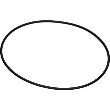 Dichtungspier 112,60X2,62 Viton | W112670QR