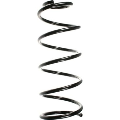 SPIDAN Fahrwerksfeder SPIDAN Fahrwerksfeder