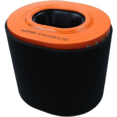 Luftfilter Fiat Ducato 2.2D 21 | 52180232